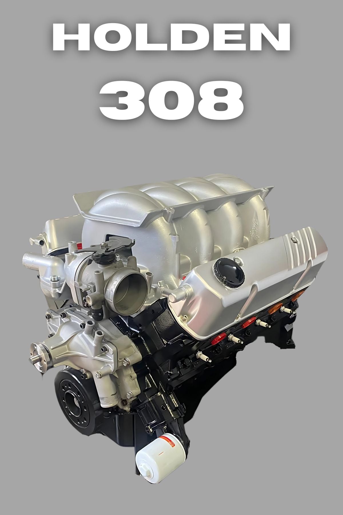 Holden 308/304/5.0