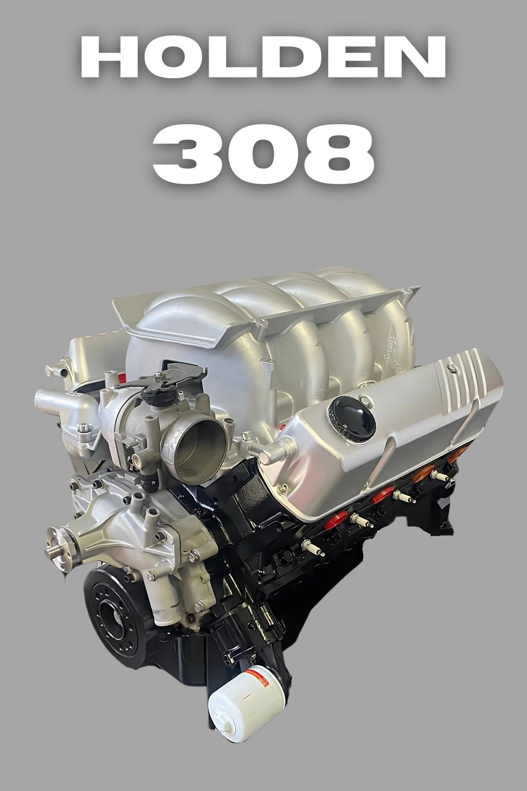 Holden 308/304/5.0